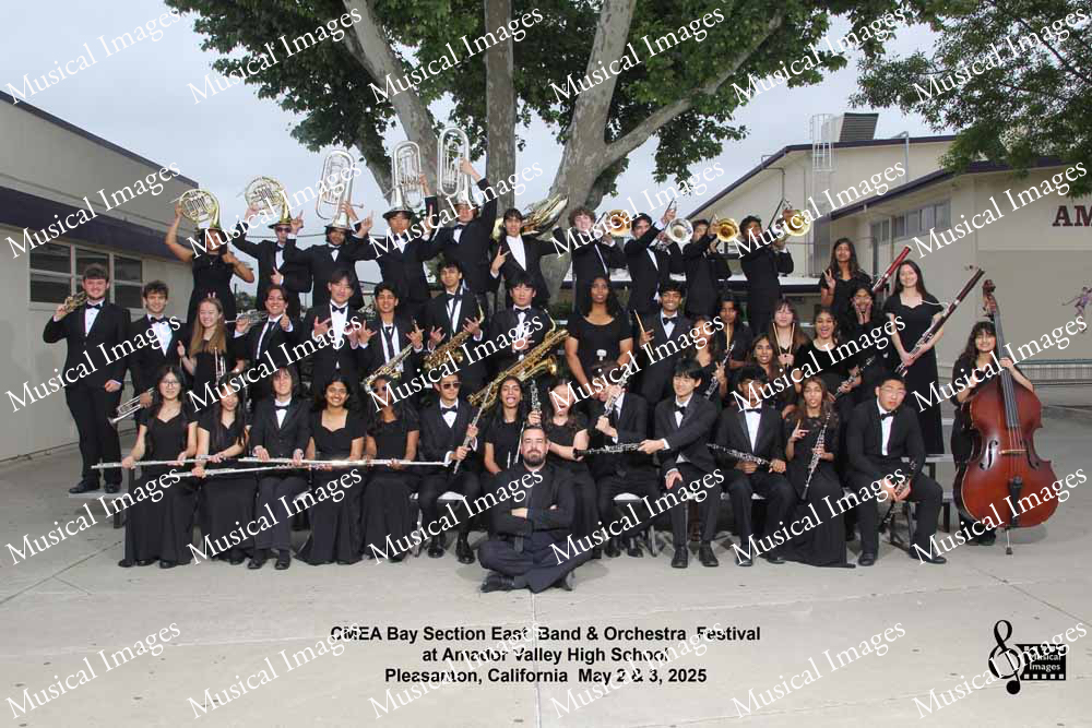 Musical Images